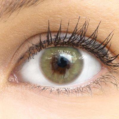 GLAMLENS Jasmine Light Green Colored Monthly Contact Lenses, -1.75, 1 Pair + Case