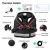 BOJLY Cat Harness with Leash Escape-Proof view 3