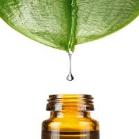 Triethyl Citrate, 250ml by Dragonspice Naturwaren