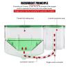 Little Plastic Fish Double-Layer Aquarium Breeding Box for Small Fish and Shrimp view 3
