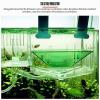 Little Plastic Fish Double-Layer Aquarium Breeding Box for Small Fish and Shrimp view 4