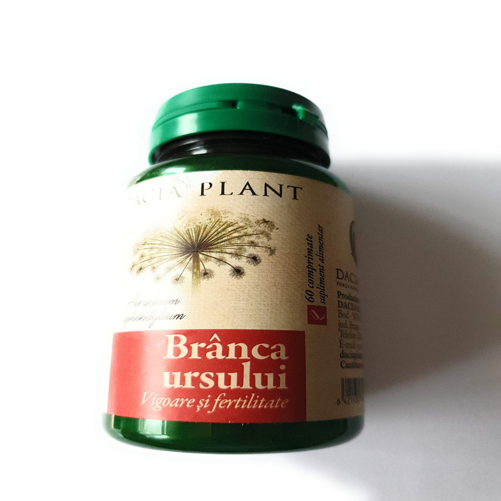 Branca Ursului