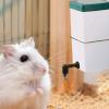 Bulrusely 1L / 500ml Pet Water Feeder view 2