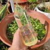 TYUTYU 1000 g 1-Piece Yellow Melting Stone Quartz Obelisk Crystal Wand Point Reiki view 4
