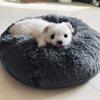 KLIEUWDBAARASRASJ Warm Round Plush Dog Bed and Cat House, Washable, House-D, S, USA view 2