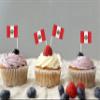 JBCD Peru Flag Toothpicks, Mini Cupcake Toppers, 200 Count view 3