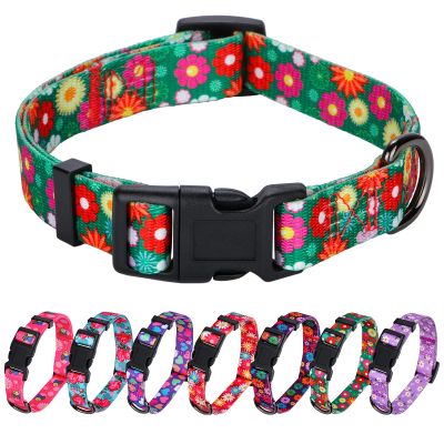 Rhea Rose Girl Dog Collar Summer Daisy Pattern, Medium, Green