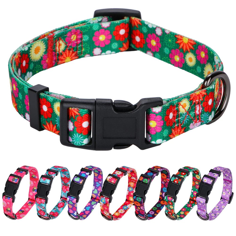 Rhea Rose Girl Dog Collar Summer Daisy Pattern, Medium, Green