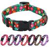 Rhea Rose Girl Dog Collar Summer Daisy Pattern, Medium, Green view 1