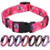 Rhea Rose Pink Dog Collar Summer Daisy and Bee Print for Large Dogs view 1