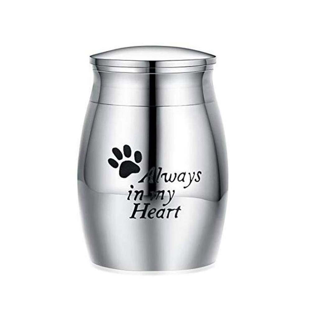 NSGJUYT Mini Stainless Steel Pet Urn for Dog, Cat and Other Pets, Cremation Ashes Memorial Container, Color 3
