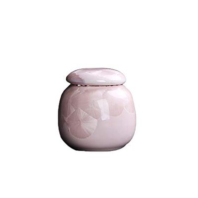 NSGJUYT Mini Pet Memorial Urn for Dogs, Cats, Birds & Small Animals