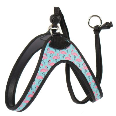 Flamingo-Print Small Dog Safety Harness for Chihuahua, Shih Tzu & Bulldog
