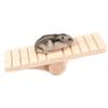 ANCLLO Swing Toy for Hamsters view 1