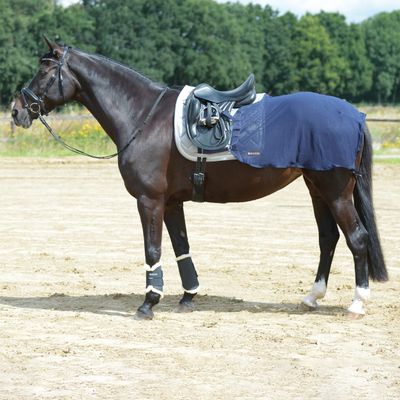 FLY Training Fly Sheet