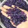 50 g Small Natural Amethyst Quartz Crystal Stone, Rock Specimen A275 view 2