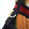 Chihuahua Puppy Soft Mesh Harness Vest - Black view 4