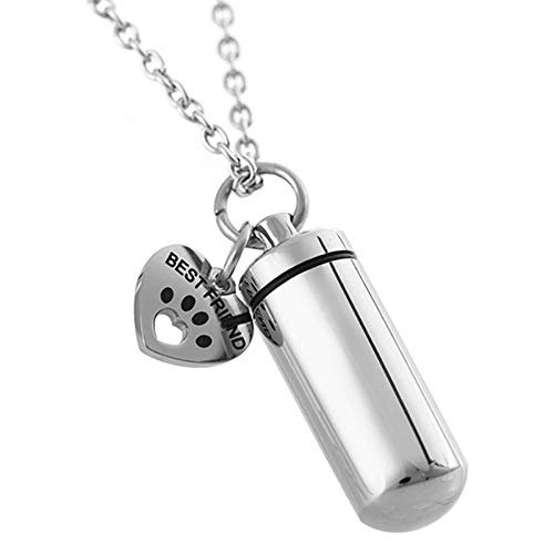 NSGJUYT Pet Urn Paw Heart Charm Cylinder Memorial Ash Holder Necklace