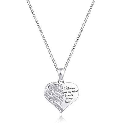 NSGJUYT Pet Paw Cremation Urn Necklace, Dog Ash Memorial Pendant (Metal Color: NL12556SV)