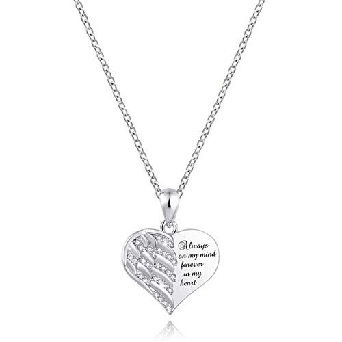 NSGJUYT Pet Paw Cremation Urn Necklace, Dog Ash Memorial Pendant (Metal Color: NL12556SV)