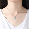 NSGJUYT Pet Paw Cremation Urn Necklace, Dog Ash Memorial Pendant (Metal Color: NL12556SV) view 4