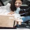 DHGTEP Pet Car Seat for Dogs and Cats view 4