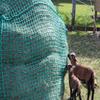 Feedwatcher Professional Round Bale Hay Net, 1.4 x 1.4 x 1.6 m, 6 cm Mesh view 4