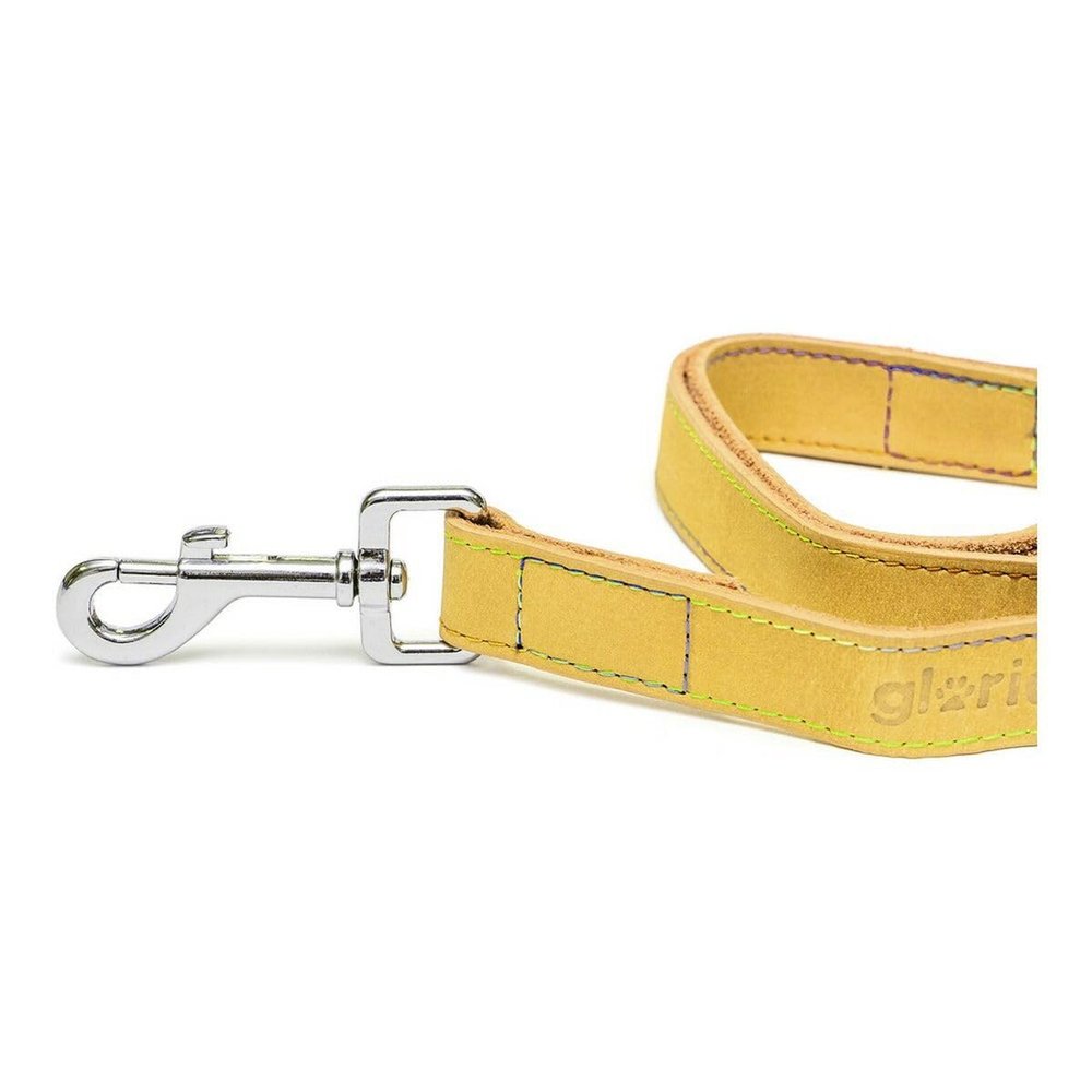 GLORIA 8432288123478 Nubuck Leather Leash, AM, 250 g