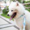 EUSFIYY Personalized Dog Collar with Engraved ID Tag, Red Dot, Size M view 2