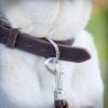 Jack & Russell Leather Dog Collar - Fat Tony (L) view 4