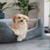 TrendPet VitaBed - Orthopedic Dog Bed with 5 cm Memory Foam (80 x 70 cm) view 2