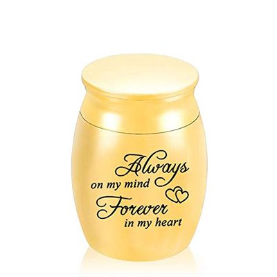 NSGJUYT Mini Pet Keepsake Urn, Stainless Steel, H03