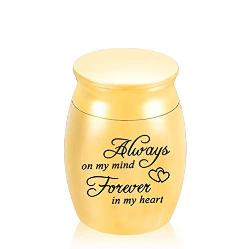 NSGJUYT Mini Pet Keepsake Urn, Stainless Steel, H03