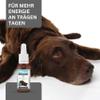 Lemon Pharma Bach Flower Drops for Animal Listlessness, Motivation for Cats and Dogs, Organic & Vegan view 3