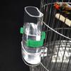 LATRAT Automatic Water Dispenser & Feeder for Birds view 3