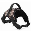 Nylon Dog Harness and Collar, Leopard Print, XS–XL view 1