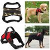 Nylon Dog Harness and Collar, Leopard Print, XS–XL view 3