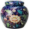 YSDKJ Pet Ashes Urn for Dogs, Cats and Small Animals view 2