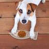 Teksome Dog Lick Mat view 2