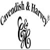 Cavendish & Harvey Filled Licorice Drops, 11 x 130 g Cans, Stock Pack | Special Edition | Vegan, Halal, Kosher view 3