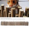 Natural Wood Bridge and Fence for Hamsters and Small Pets, 60 cm view 3