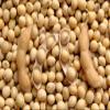Holyflavours | Fine TVP Soy Chunks | Organic Certified | 1 kg | Natural Superfood view 4