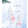 ikasus 2-Pack 20 mL BB/CC Cream Foundation Concealer view 4
