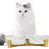 SP SEMPRE+ Ceramic Dog Bowls with Bamboo Holders, Double, 13.5 cm, White Marble view 4