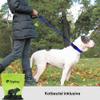 Taglory Dog Leash, Climbing Rope, Padded Handle, 6 ft view 2