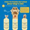 Dog Shoes for Small Dogs, Breathable Paw Protection Boots view 2