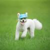 Baseball Cap for Small Dogs with Ear Holes view 2