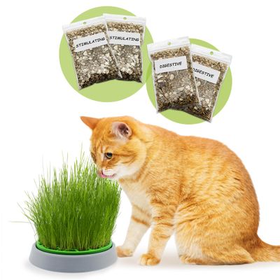R&R SHOP - Double Seeds Catnip Set