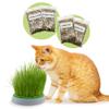 R&R SHOP - Double Seeds Catnip Set view 1