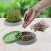 R&R SHOP - Double Seeds Catnip Set view 2